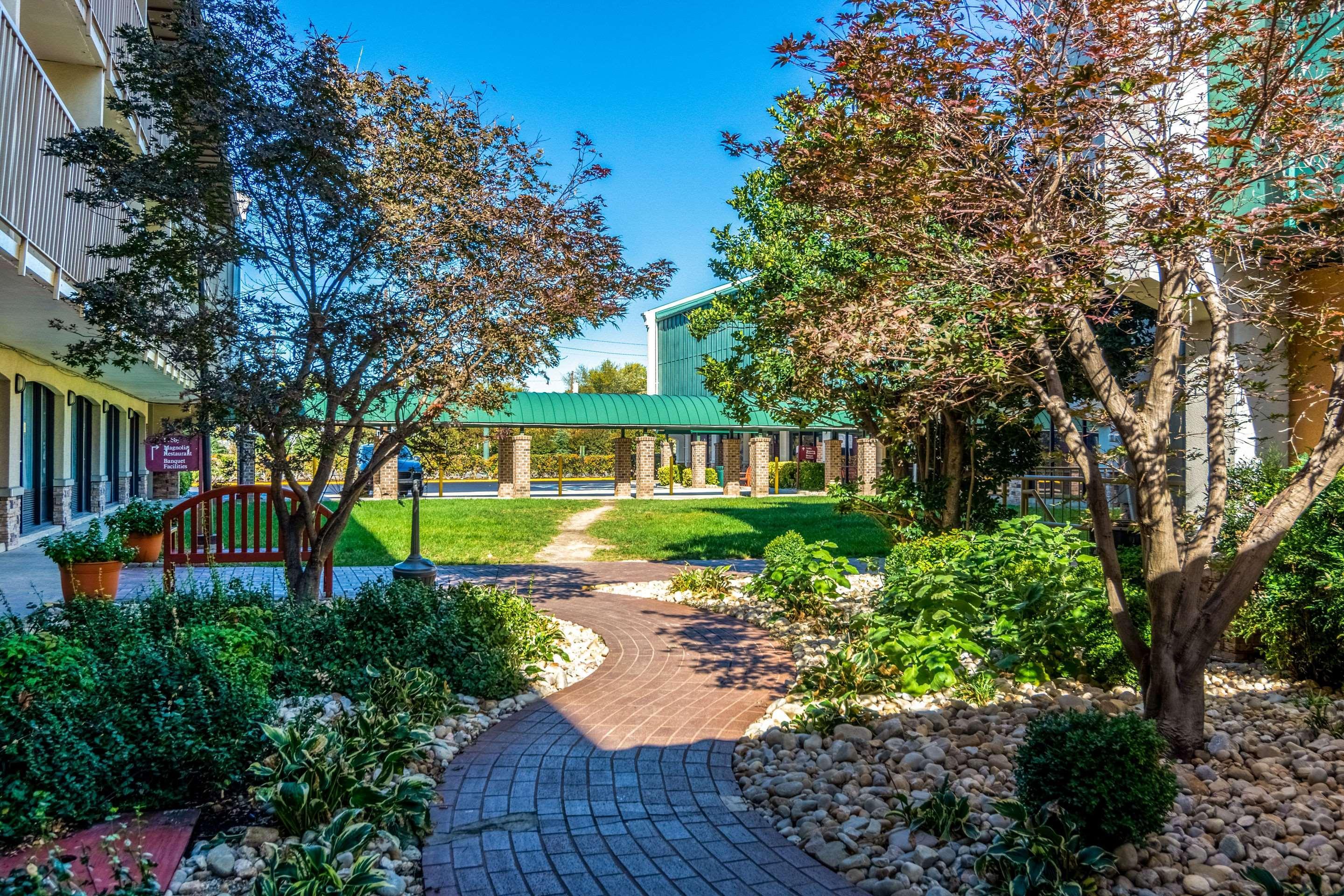 Rodeway Inn Central Richmond Bagian luar foto