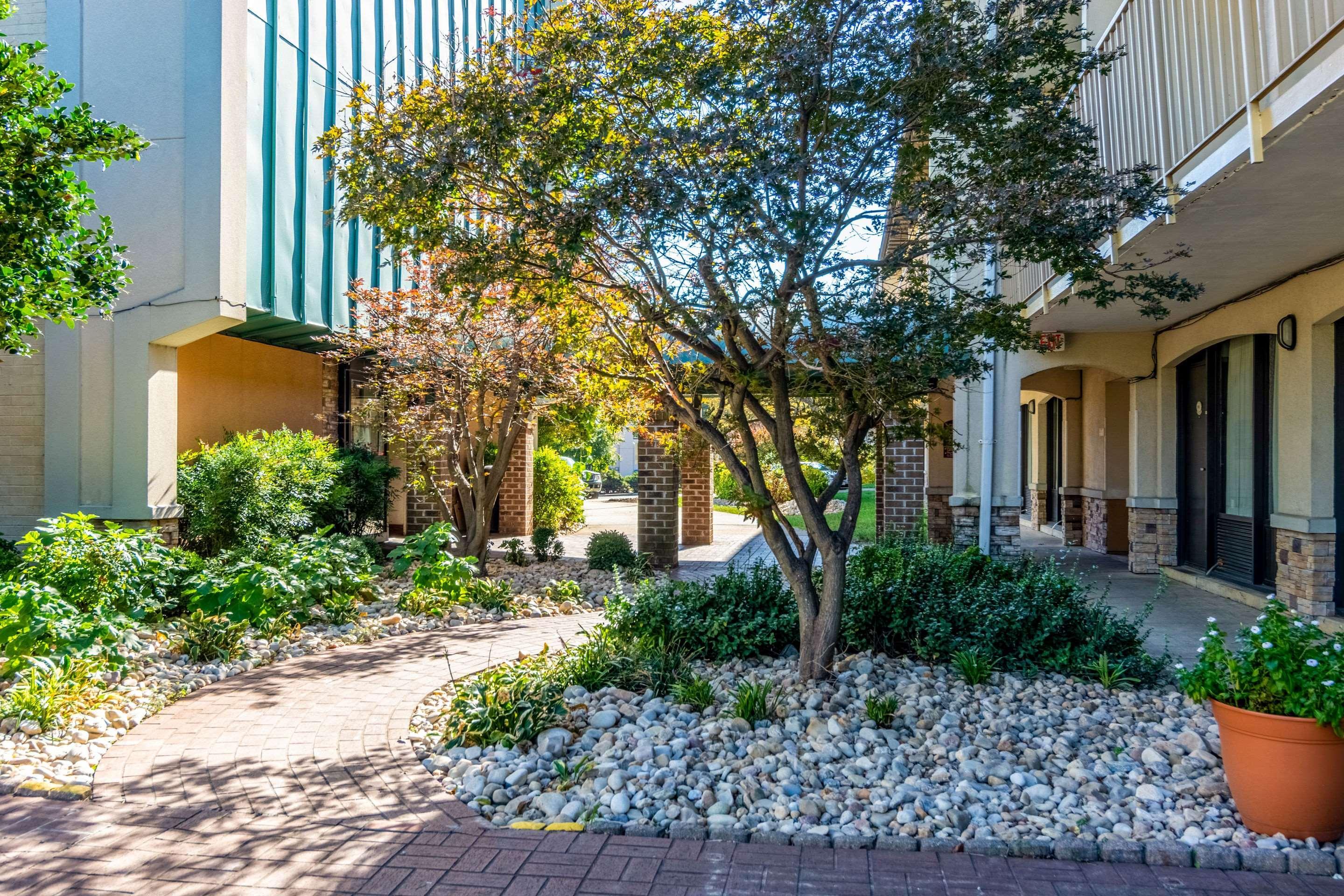 Rodeway Inn Central Richmond Bagian luar foto